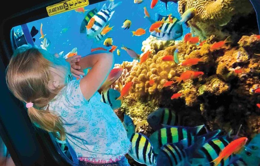 Royal Sea Scope – Il Sottomarino di Sharm El Sheikh