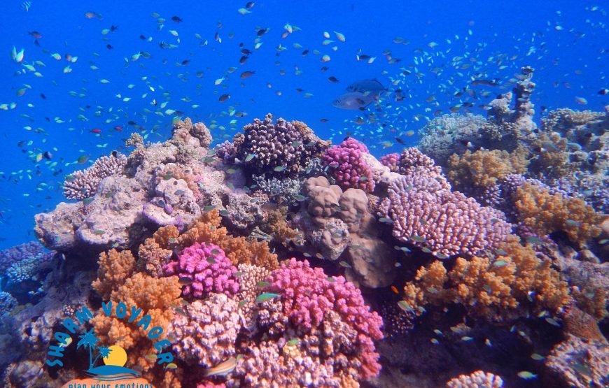 Jeep Safari al Canyon Colorato & Blue Hole