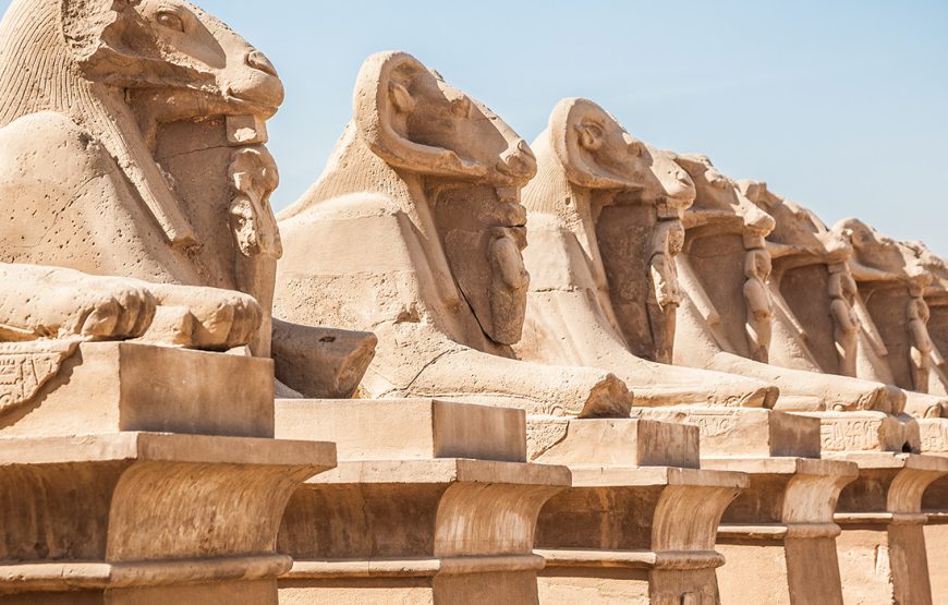 Escursione a Luxor da Sharm el Sheikh in Aereo